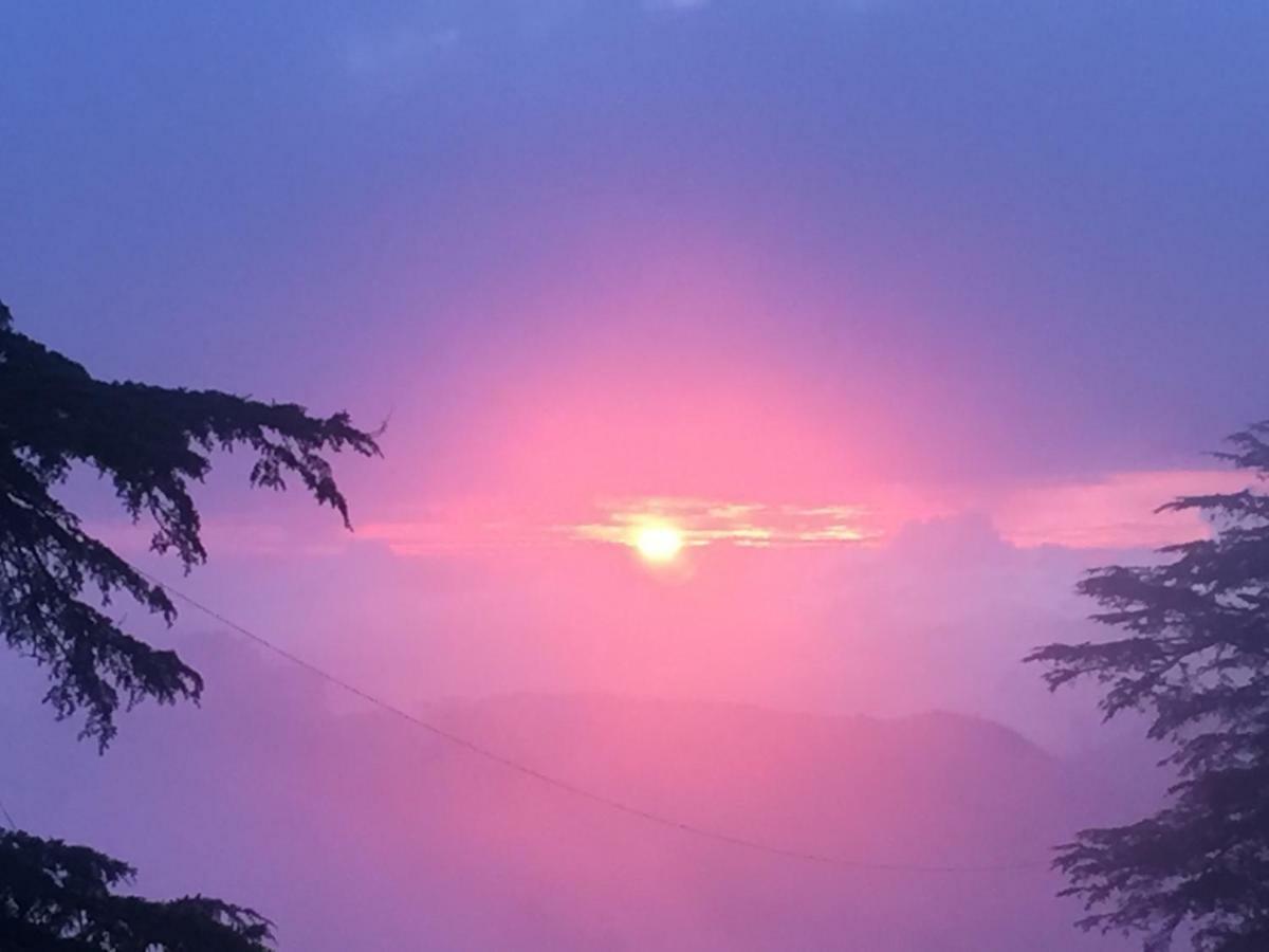 Simla View Shimla Exterior foto