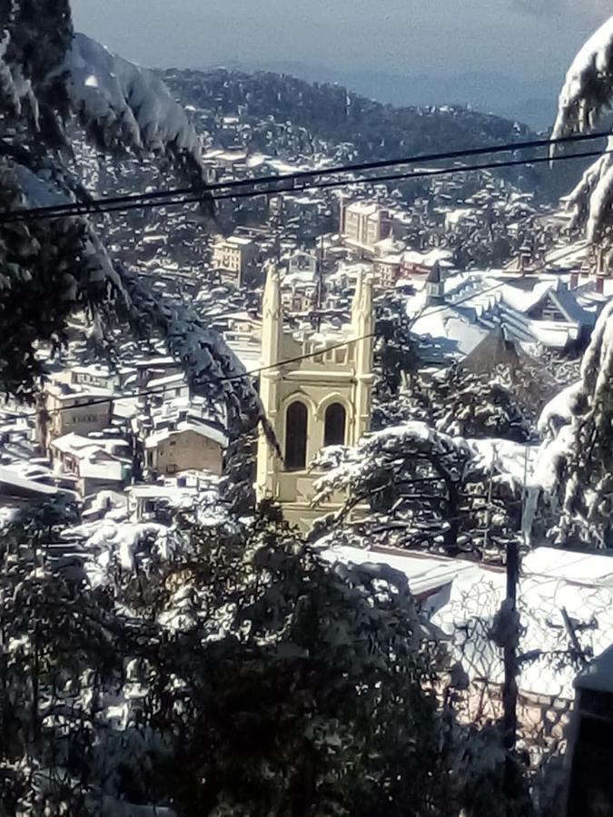 Simla View Shimla Exterior foto